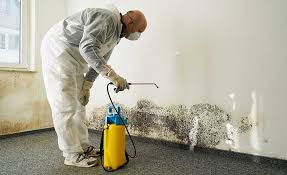 Best Biohazard Mold Removal  in Redwood City, CA