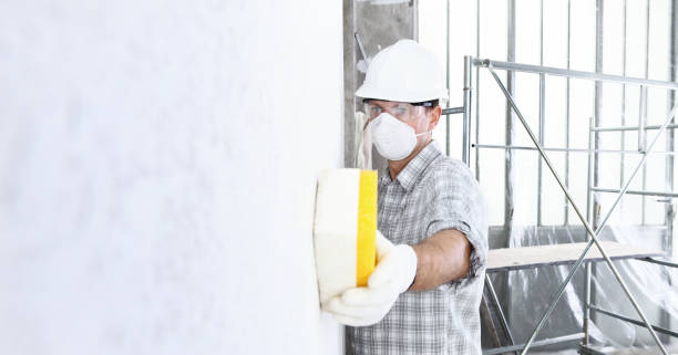 Best Asbestos and Lead Testing During Mold Inspection  in Redwood City, CA